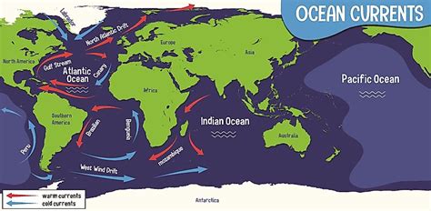 North Atlantic Gyre Map