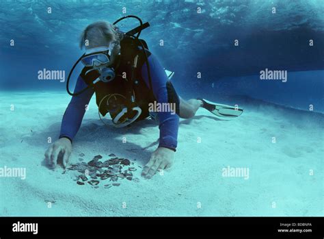 Diver recovers coins from the shipwreck Las Maravillas sunk in 1658 ...