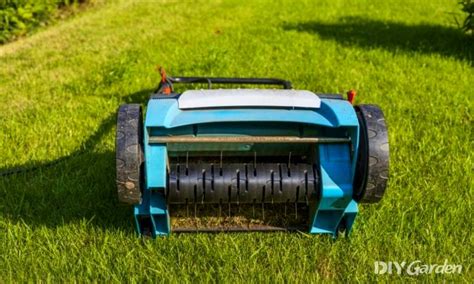 When to Aerate Your Lawn | DIY Garden™