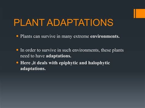 Adaptations of epiphytes and halophytes