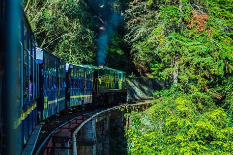 HD wallpaper: india, ooty, indian railways, hill station, trees, nature ...