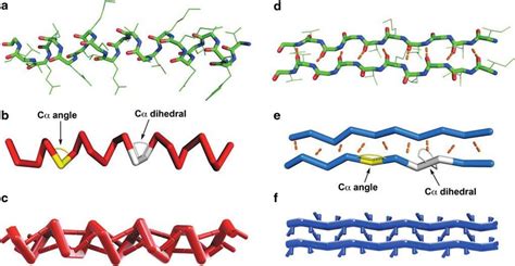 A segment of an alpha helix and beta sheet was extracted from a helical ...