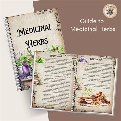 Printable Herbal Medicine Guide: A4 PDF on Medicinal Herbs, Herbal ...