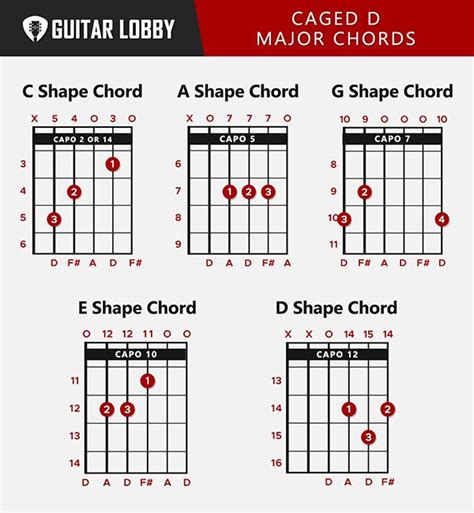 D Guitar Chord Guide: 8 Variations & How to Play - Guitar Lobby