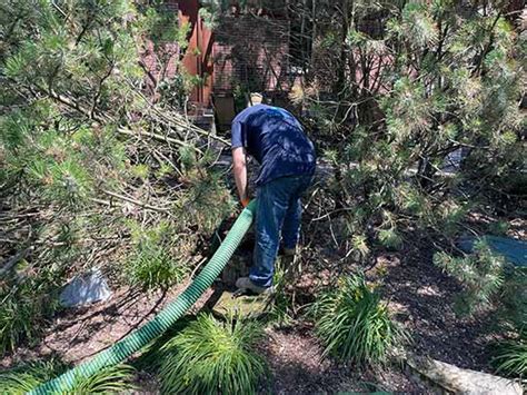 Septic System Maintenance 101 | Suburban Plumbing Experts