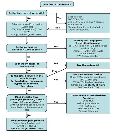 Clinical Practice Guidelines : Jaundice Flowchart