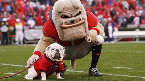 UGA VIII Watch: PETA Wants Georgia to Go METAL