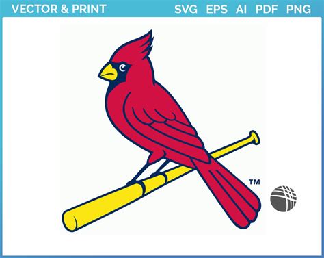 St. Louis Cardinals - Alternate Logo (1998) - Baseball Sports Vector ...