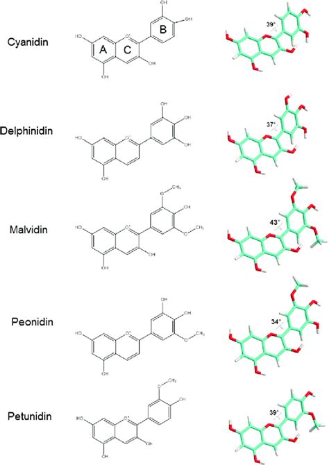 Anthocyanidin chemical structures and spatial conformation. Carbon ...