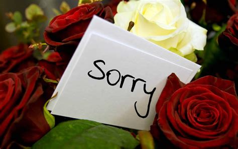 Cute Apology Messages to a Lover with Sorry Images - iLove Messages