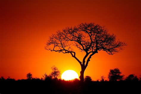 South African Sunset