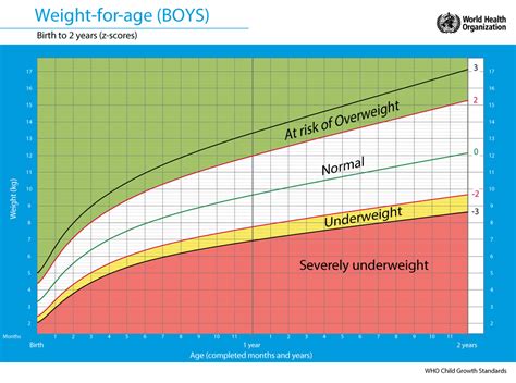 Average Weight Height Age Chart