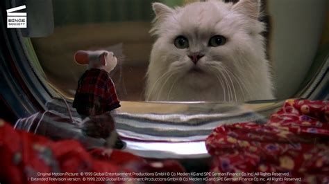 Stuart little snowbell - limfasage