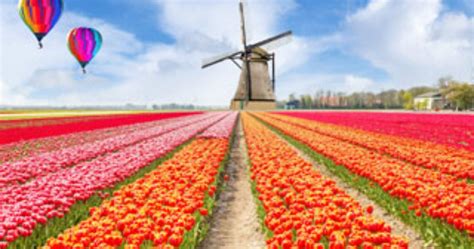 7 Places to Find the Prettiest Tulip Fields in the Netherlands | Blog ...