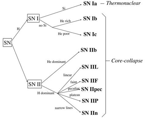 7: Scheme of the supernova types depending on the former star ...