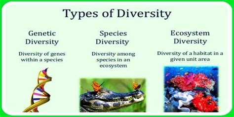 Genetic Diversity - QS Study