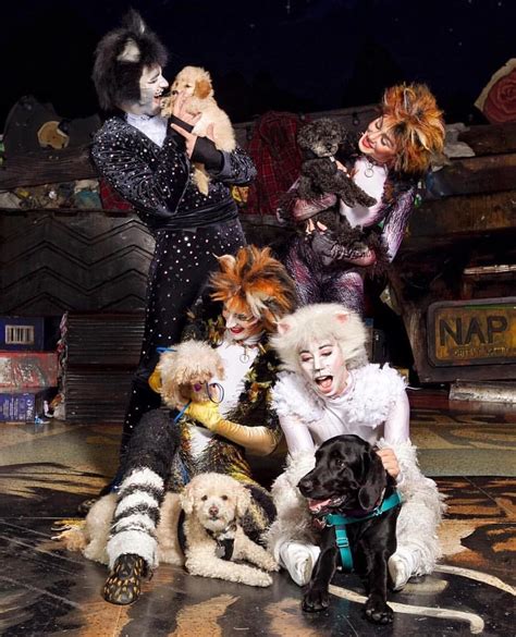 Cats The Musical Costumes Rental