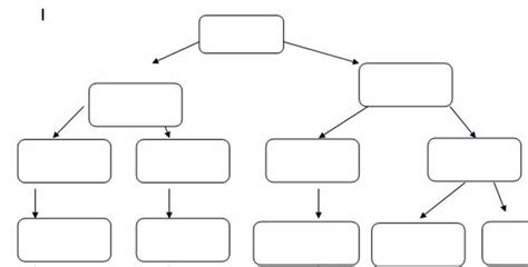 Classification of Matter Diagram | Quizlet