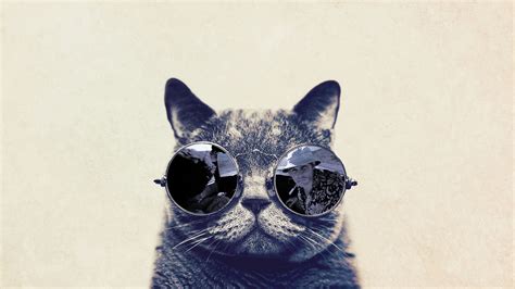 Space Galaxy Cat with Glasses (page 5) - Pics about space