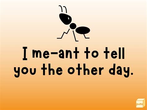 115+ Funny Ant Puns to Make You Laugh Ant-il You Cry - Box of Puns