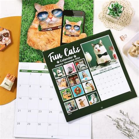 Snapklik.com : 2024 Wall Calendar - Funny Cat Calendar 2024, Jan 2024 ...