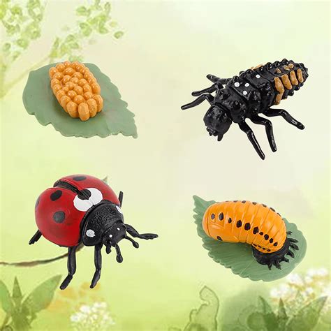 Simulation Arthropod Life Cycle of a Spider Bee Ladybugs Model ...