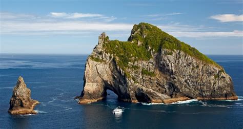 Things to do in Bay of Islands | Activities - Everything New Zealand