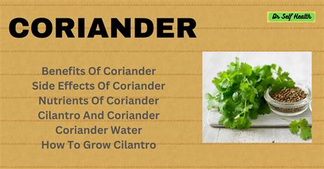 Coriander : 8 Important Health Benefits Of Coriander