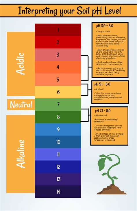 Soil Ph Chart For Growing Vegetables | SexiezPicz Web Porn