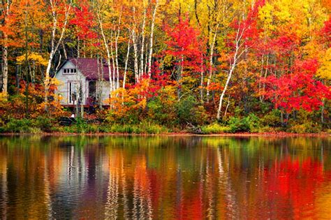 Forget New England: Fall Foliage in New Brunswick, Canada