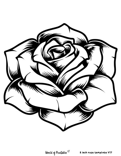 Rose Outline Tattoo Designs and Meaning Explained - Inspiring Tattoo ...