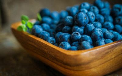 Blueberry & Bilberry - Varieties, Health Benefits, Recipes & More