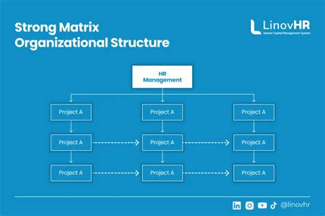 Struktur Organisasi Matriks (Matrix Organisation) dan Pro-Kontra