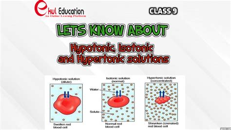 Hypertonic hypotonic isotonic simple diagrams - mojolopers