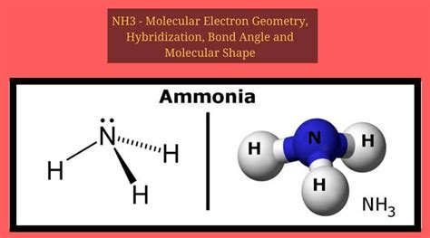 NH3 Molecular Geometry, Hybridization, Bond Angle and Molecular Shape