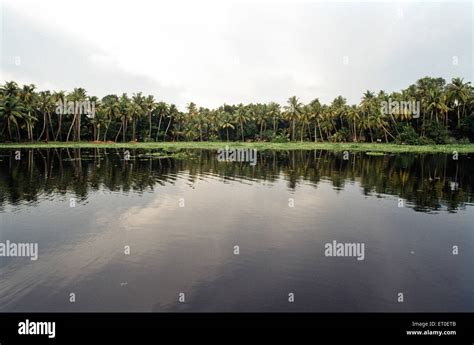 Backwaters, Alleppey, Alappuzha, Kerala, India, Asia Stock Photo - Alamy