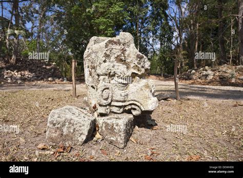 Mayan ruins of Copan, Honduras Stock Photo, Royalty Free Image ...