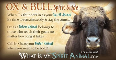 Ox & Bull Spirit, Totem, and Power Animal Meaning - What Is My Spirit ...