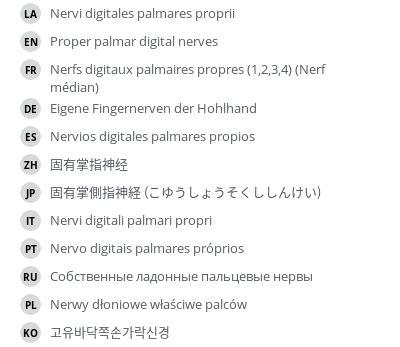 Proper palmar digital nerves - e-Anatomy - IMAIOS