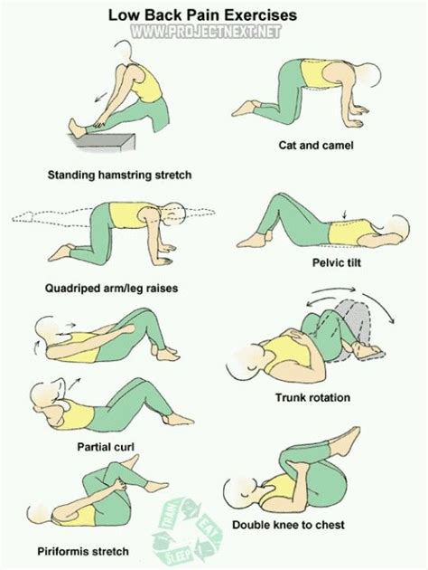 Thoracic Back Pain Exercises Pdf 110 22 1.08 0.05 4700000 Commercial ...