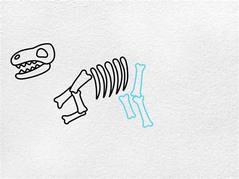 Dinosaur Fossil Drawing (easy) - HelloArtsy