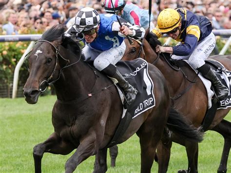 Melbourne cup | Horse Racing News and Thoroughbreds | The Courier Mail