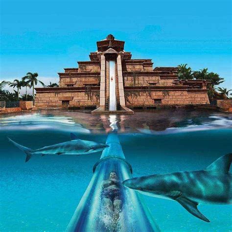 Atlantis The Palm Dubai | Wallpapers Quality