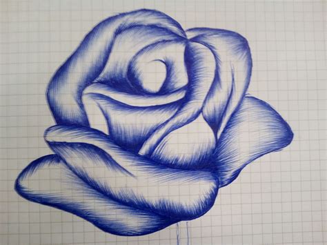 Rose Drawing Pen at GetDrawings | Free download