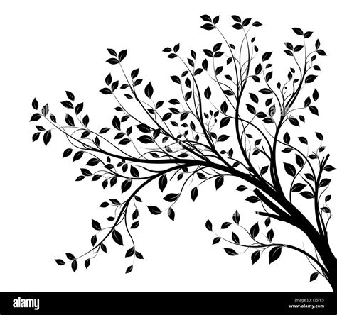 Vector tree branch and foliage silhouette Stock Vector Image & Art - Alamy