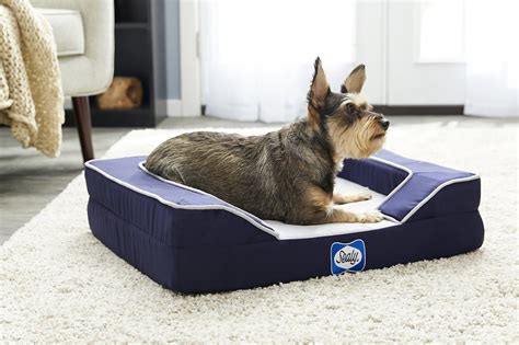 Cooling Dog Bed: Keep Your Dog Cool In Summer