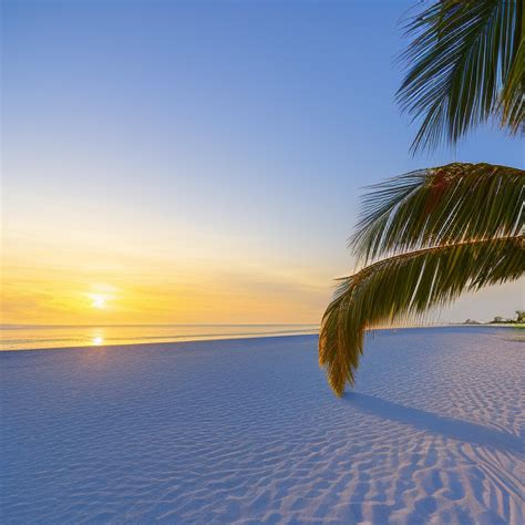 Best Beaches West Coast Florida