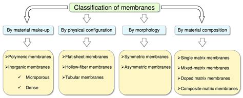 An overview of membrane classification. | Download Scientific Diagram