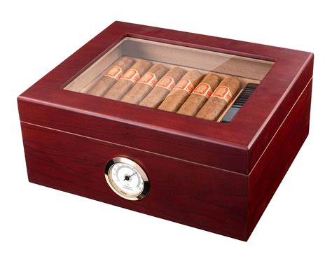 5 Best Rated Cigar Humidor in 2024