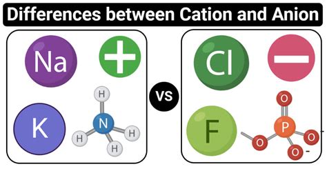 Cation vs Anion- Definition, 10 Major Differences, Examples